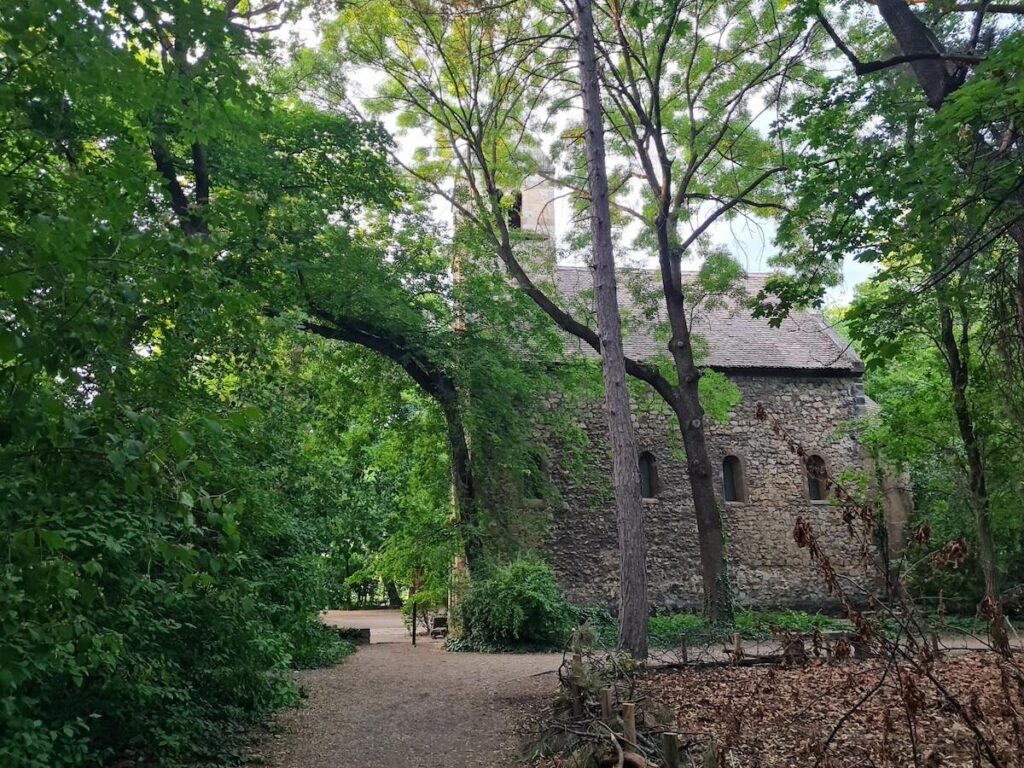 Trees growing alongside the crumbling walls of the medieval church, Margaret Island, Budapest