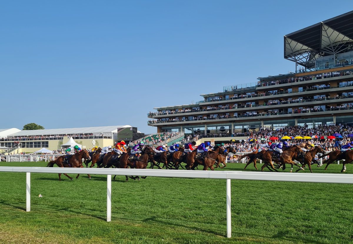 Horses racing past the packed Royal Ascot grandstand on a bright blue summer day