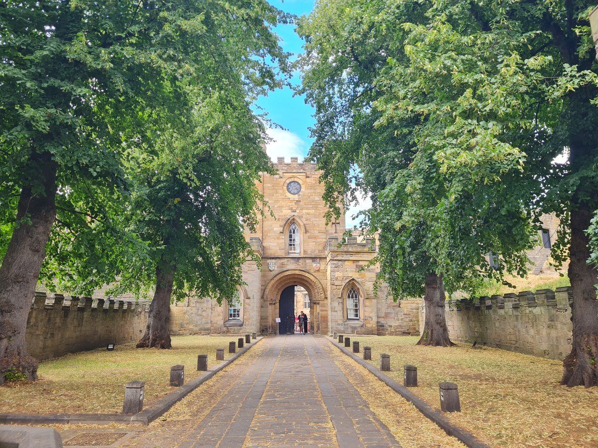 The gatehouse of Durham Castle at the end of a tree-lined path on Palace Green