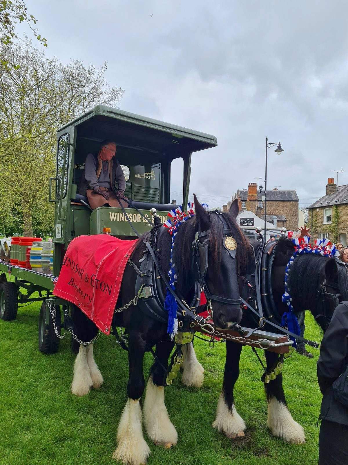 Windsor and Eton Brewery dray with two shire horses in coronation rosettes
