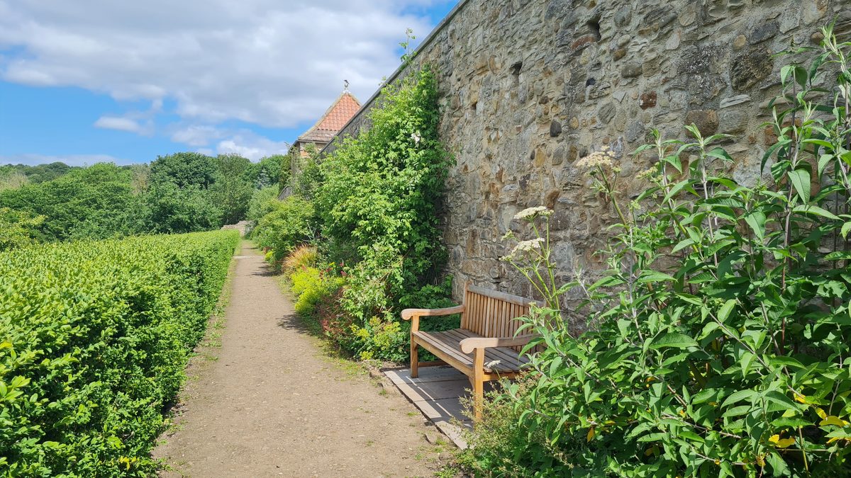 A bench against the old stone wall at Old Durham Gardens, Durham