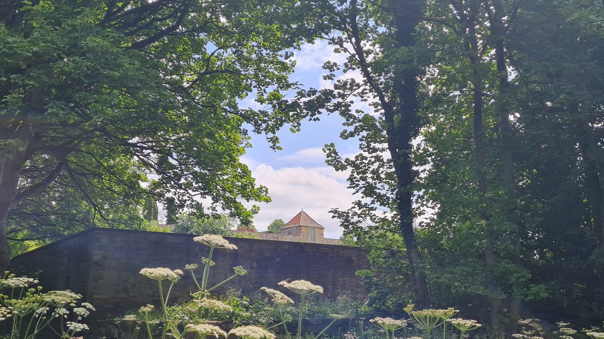 The gazebo roof rising above the wall of Old Durham Gardens, Durham
