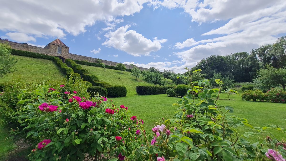 The seventeenth-century gazebo and roses at Old Durham Gardens, Durham