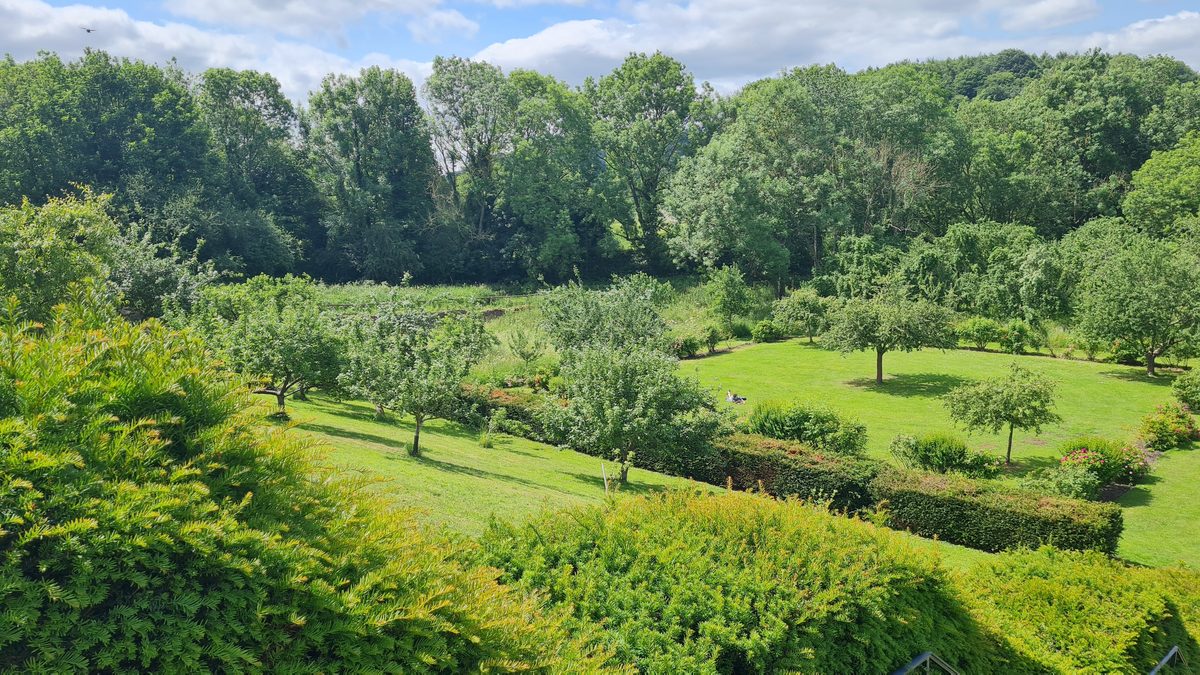 Restored orchard and garden terraces at Old Durham Gardens, Durham