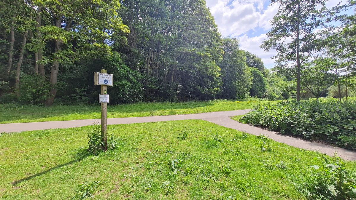 Waymarker signpost in a clearing on the riverside path to Old Durham