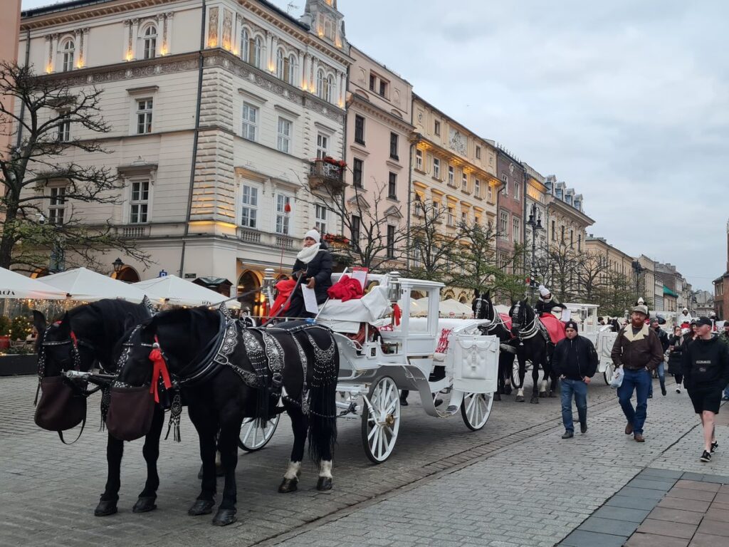 Horse-drawn carriages waiting on Kraków's Main Square